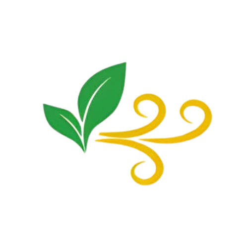 your paragraph text (14)